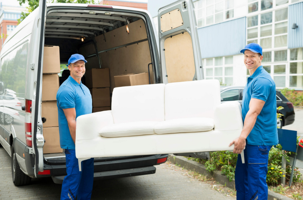 Auckland wide removals